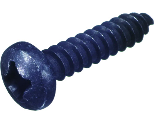 Schraube mit Torx Antrieb