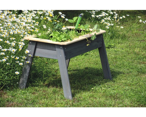 Hochbeet aus Holz mit Bepflanzung im Garten