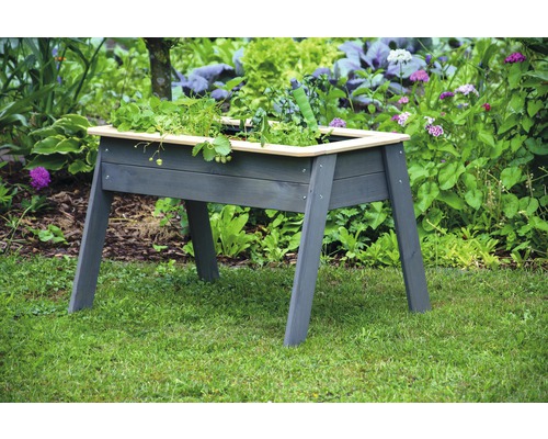 Hochbeet aus Holz im Garten mit Bepflanzung