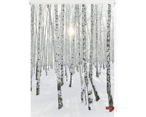 Rollo mit Birkenwald-Motiv im Winter