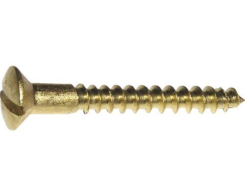 Holzschraube mit Schlitzkopf