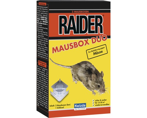 Mausbox Raider, 2 Stk