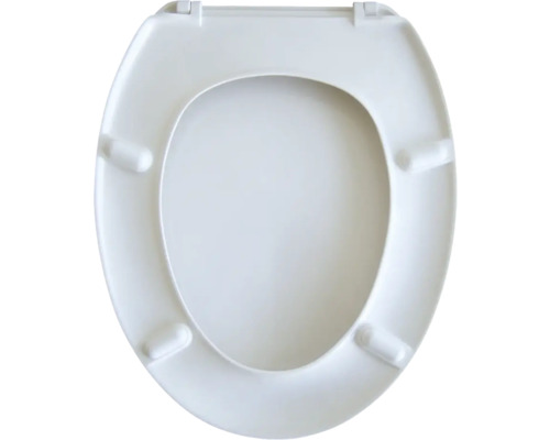 Toilettendeckel aus Kunststoff