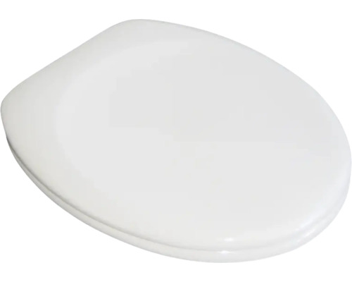 Toilettendeckel