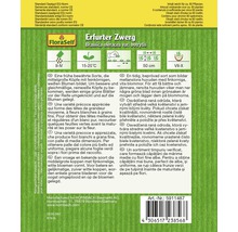 Samenpackung Erfurter Zwerg Blumenkohl von FloraSelf