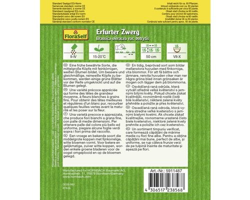 Samenpackung Erfurter Zwerg Blumenkohl von FloraSelf