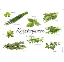 Abbildung verschiedener Kräuter wie Petersilie, Schnittlauch, Basilikum, Salbei, Oregano, Rucola, Rosmarin, Bohnenkraut und Thymian