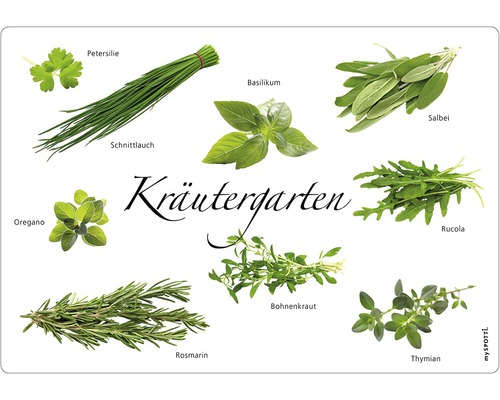 Küchenrückwand mySpotti pop Kräutergarten 590x410x2 mm Abbildung verschiedener Kräuter wie Petersilie, Schnittlauch, Basilikum, Salbei, Oregano, Rucola, Rosmarin, Bohnenkraut und Thymian