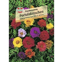 Sperli Portulakröschen Prachtmischung Samen