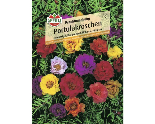 Prachtmix Blumensamen 'Portulakröschen'