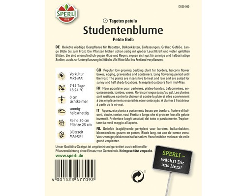 Samenpackung Studentenblume Petite Gelb