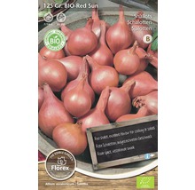 Verpackung rote Bio Schalotten zum Anpflanzen