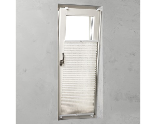 SOLUNA Faltenplissee mit Seitenverspannung ohne Bohren Design Motiv Honey 45x130 cm Plissee-Vorhang am Fenster zur Lichtregulierung und Privatsphäre