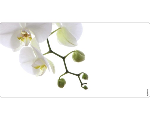 Badrückwand mySpotti Aqua Orchidee phala 900x450x2 mm 150909 weiß grün