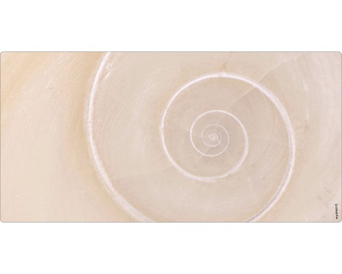 Badrückwand mySpotti Aqua Schnecke 900x450x2 mm 150914 beige Nahaufnahme einer spiralförmigen Schneckenhausstruktur