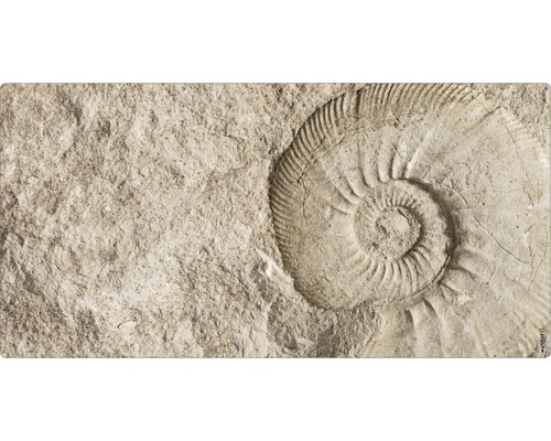 Badrückwand mySpotti Aqua Fossil 900x450x2 mm 150915 beige