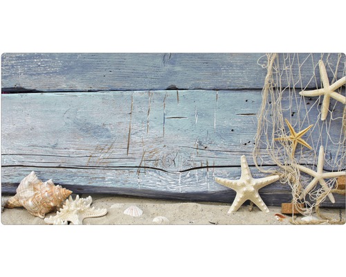 Badrückwand mySpotti Aqua Seashell 900x450x2 mm 150919 grau Dekorative Seesterne mit Muscheln und Fischernetz vor Holzwand