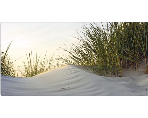 Badrückwand mySpotti Aqua Dune 900x450x2 mm 150922 weiß grün Düne mit Strandhafer im Sand