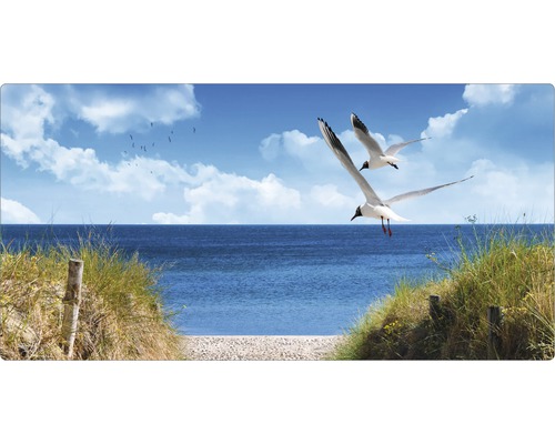 Badrückwand mySpotti Aqua North Sea 900x450x2 mm 150925 grün Dekoratives Paneel mit Strandmotiv, Möwen und Meer