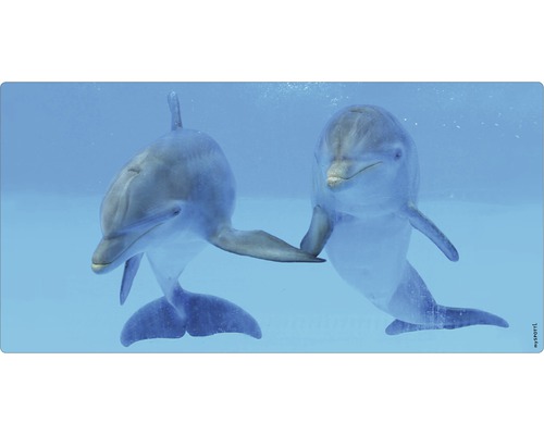Badrückwand mySpotti Aqua Delphin 900x450x2 mm 150938 blau