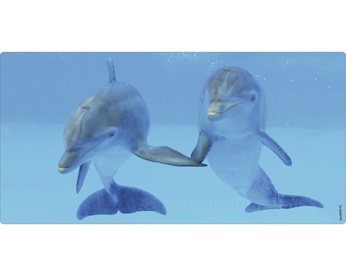 Badrückwand mySpotti Aqua Delphin 900x450x2 mm 150938 blau Zwei Delfine unter Wasser