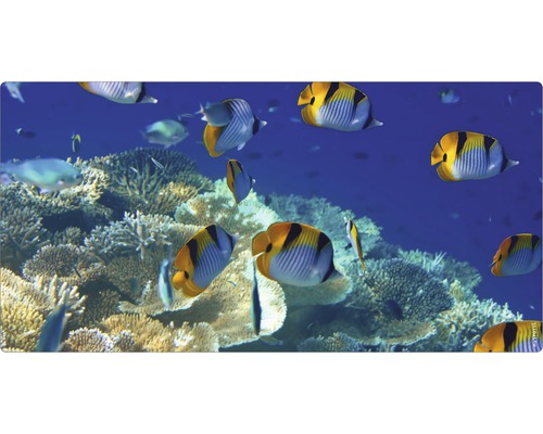 Badrückwand mySpotti Aqua Unterwasser 900x450x2 mm 150939 blau Aquariumdekoration mit Fischen und Korallenriff
