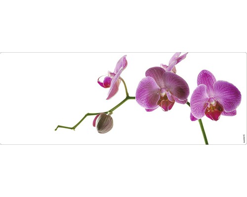 Badrückwand mySpotti Aqua Orchid pink 1200x450x2 mm 151208 weiß pink Dekoratives Orchideen Motiv
