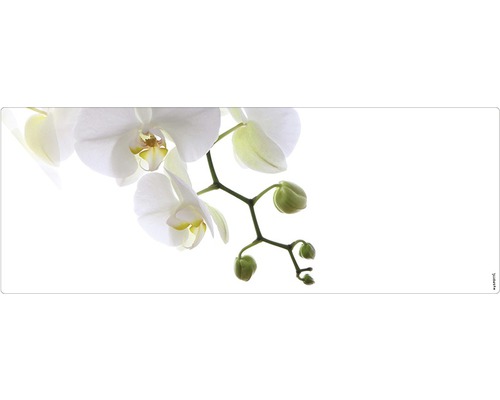 Badrückwand mySpotti Aqua Orchid phala 1200x450x2 mm 151209 weiß grün