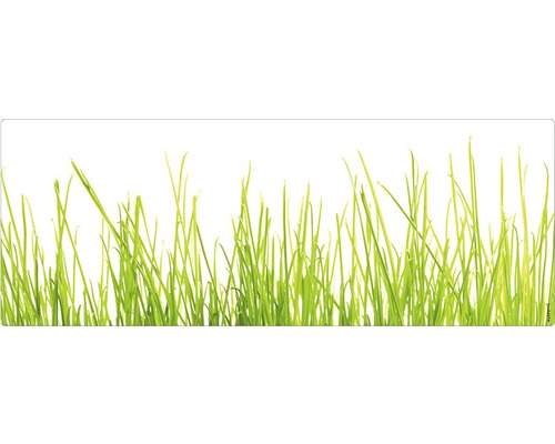 Badrückwand mySpotti Aqua Gras 1200x450x2 mm 151212 weiß grün Grashalme