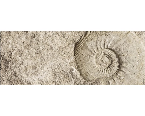 Badrückwand mySpotti Aqua Fossil 1200x450x2 mm 151215 beige