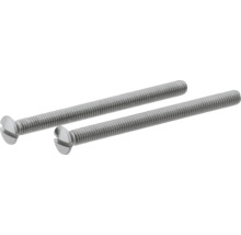 Zwei Schlitzschrauben aus Metall