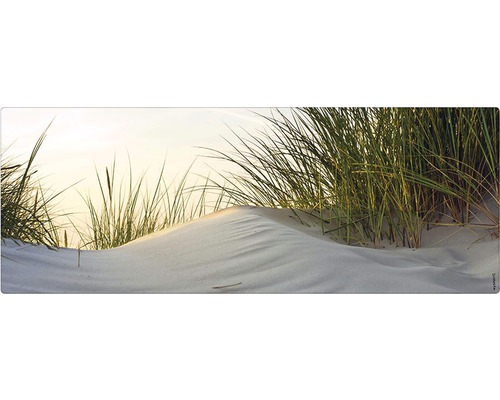 Badrückwand mySpotti Aqua Dune 1200x450x2 mm 151222 weiß grün Dekoratives Wandbild mit Dünenmotiv und Gras
