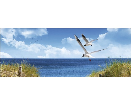 Badrückwand mySpotti Aqua North Sea 1200x450x2 mm 151225 blau Meerblick mit fliegenden Möwen und Strandgras