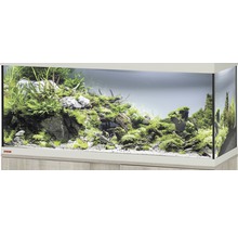 Eingerichtetes Aquarium mit Pflanzen, Steinen und Wurzelholz