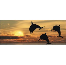 Drei springende Delfine vor einem Sonnenuntergang