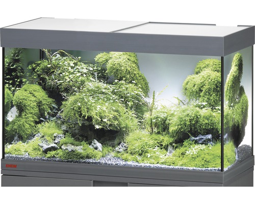 Aquarium EHEIM Vivaline 126 mit LED-Beleuchtung ohne Unterschrank anthrazit Aquarium mit Pflanzen und Steinen