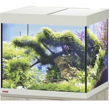 Aquarium mit Pflanzen und Dekoration