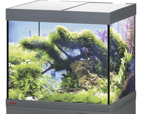 Aquarium EHEIM Vivaline 150 mit LED-Beleuchtung ohne Unterschrank anthrazit Eingerichtetes Aquarium mit Pflanzen und Dekoration