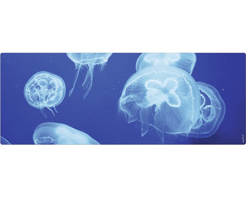 Badrückwand mySpotti Aqua Qualle 1200x450x2 mm 151236 blau Badezimmerteppich mit Quallenmotiv