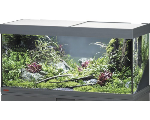 Aquarium EHEIM Vivaline 180 mit LED-Beleuchtung ohne Unterschrank anthrazit Eingerichtetes Aquarium mit Pflanzen, Steinen und Holzdekoration.