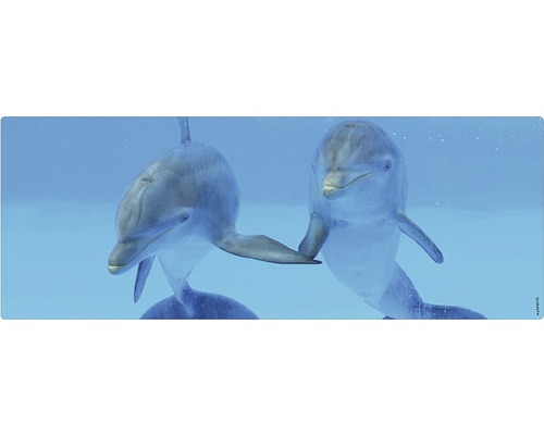 Badrückwand mySpotti Aqua Delphin 1200x450x2 mm 151238 blau Zwei Delfine im Wasser