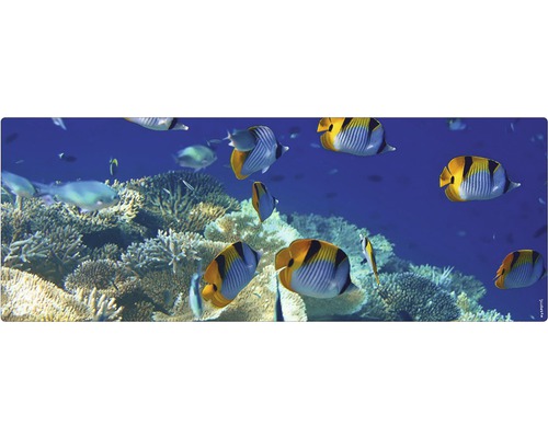 Badrückwand mySpotti Aqua Unterwasser 1200x450x2 mm 151239 blau Dekoratives Motiv mit Fischen und Korallenriff für den Innenbereich
