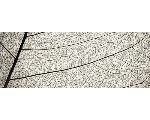 Badrückwand mySpotti Aqua Struktur 1200x450x2 mm 151240 grau Detailaufnahme eines Blattgerippes