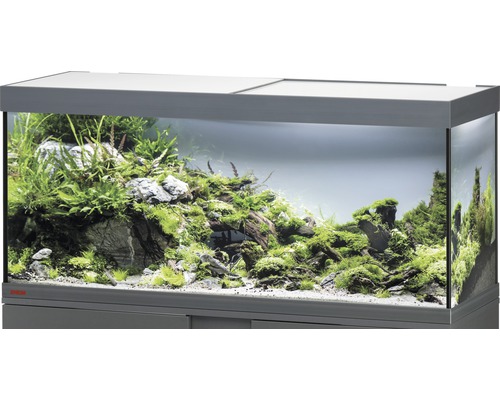 Aquarium EHEIM Vivaline 240 mit LED-Beleuchtung ohne Unterschrank anthrazit Dekoratives Aquarium mit Pflanzen, Steinen und Holzdekoration