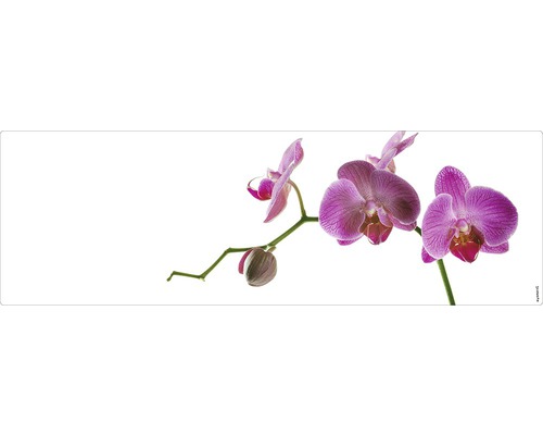 Badrückwand mySpotti Aqua Orchidee pink 1400x450x2 mm 151408 weiß pink