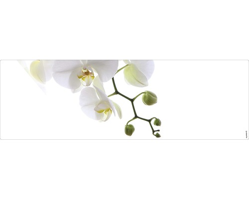 Badrückwand mySpotti Aqua Orchidee phala 1400x450x2 mm 151409 weiß grün
