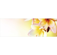 Dekoratives Wandpaneel mit floralem Muster