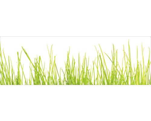 Badrückwand mySpotti Aqua Gras 1400x450x2 mm 151412 weiß grün Grashalme