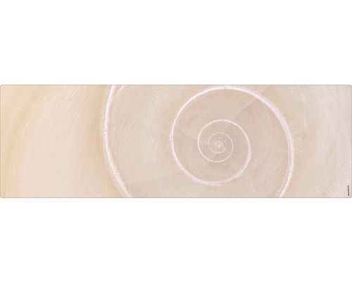Badrückwand mySpotti Aqua Schnecke 1400x450x2 mm 151414 beige Nahaufnahme einer hellen, spiralförmigen Schneckenhausstruktur