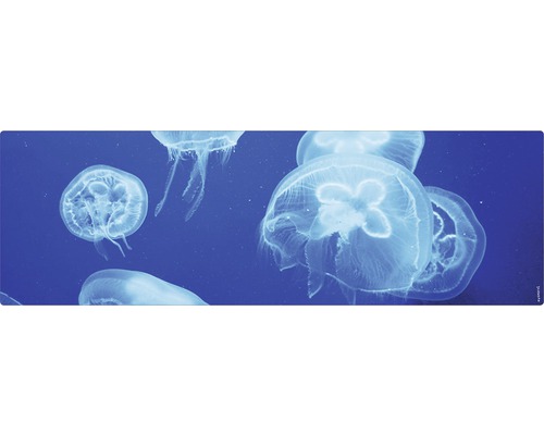 Badrückwand mySpotti Aqua Qualle 1400x450x2 mm 151436 blau Duschmatte mit Quallenmotiv
